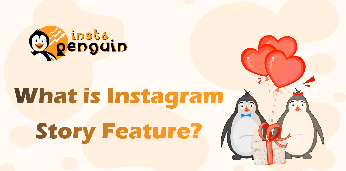 What is Instagram Story Feature? - Social Avocado
